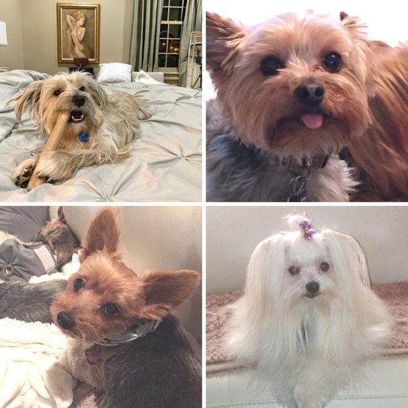 📎Bookmark My Closet! ✏️About Me - Picture 7 of 10